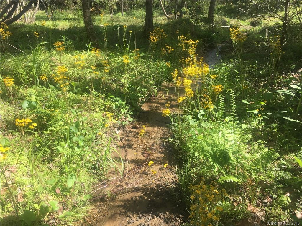 89 Bishop Cove Road Fairview NC 28730
