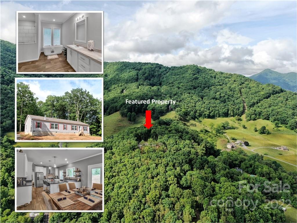1177 Thompson Cove Road Clyde NC 28721