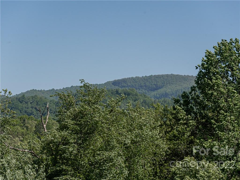 211 Green Meadow Lane Fletcher NC 28732