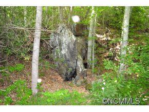 83 Dodd Road Barnardsville NC 28709