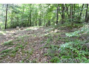 83 Dodd Road Barnardsville NC 28709