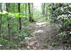 83 Dodd Road Barnardsville NC 28709