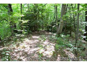 83 Dodd Road Barnardsville NC 28709