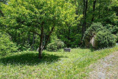 187 Bear Pen Road Burnsville NC 28714