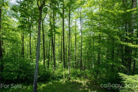 187 Bear Pen Road Burnsville NC 28714