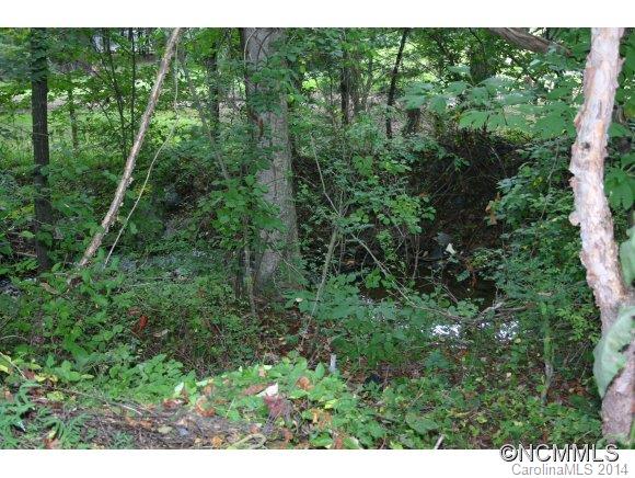 49 Goose Creek Road Swannanoa NC 28778