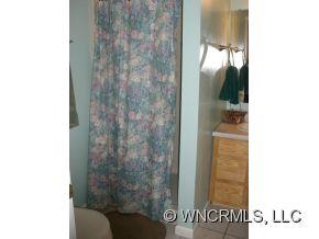 10 Bear Claw Trail Candler NC 28715