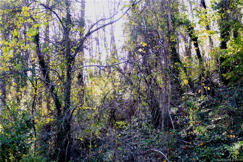 83 Spooks Branch Road Asheville NC 28804