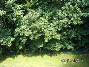 3 Leisure Court Weaverville NC 28787