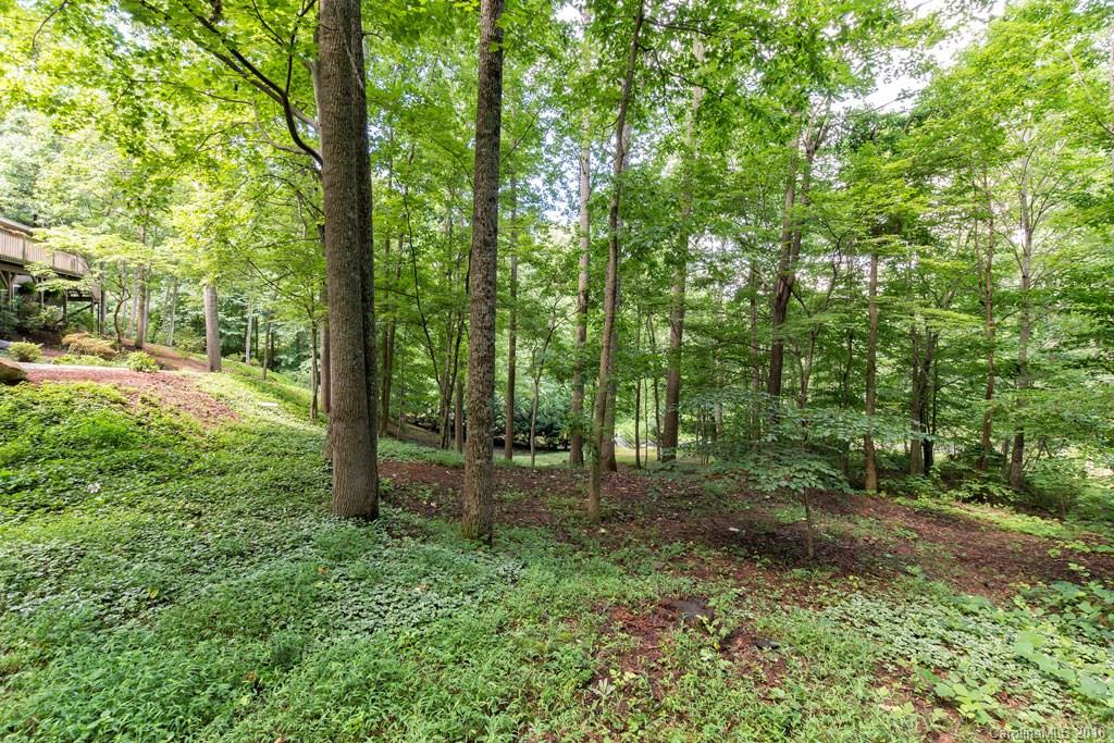 12 Beech Tree Lane Asheville NC 28804