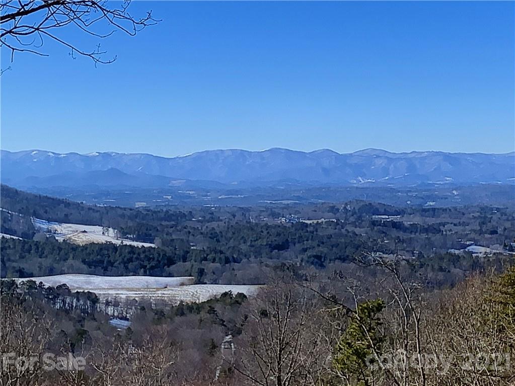 46 Perennial Ridge Weaverville NC 28787