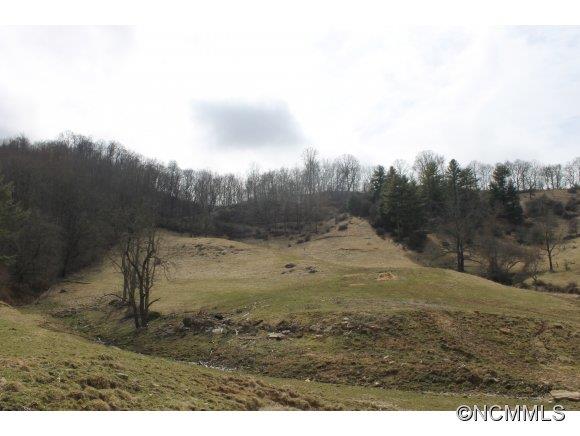130 Leopard Drive Waynesville NC 28786
