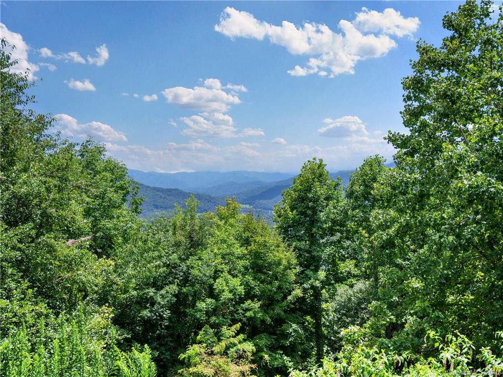 1405 Cathey Cove Road Waynesville NC 28786