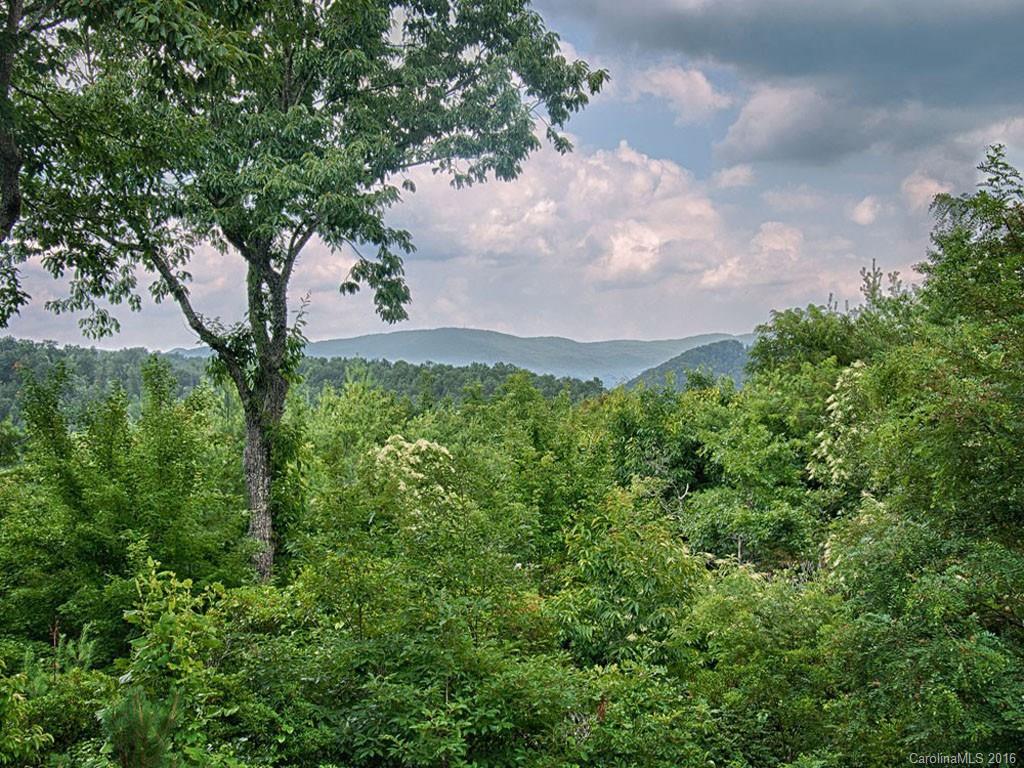 186 Merrills Chase Road Asheville NC 28803