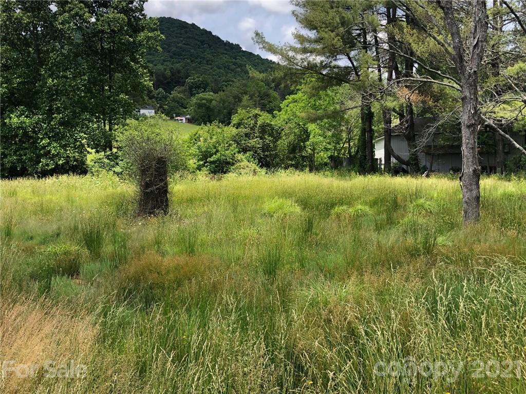 924 Riceville Road Asheville NC 28805