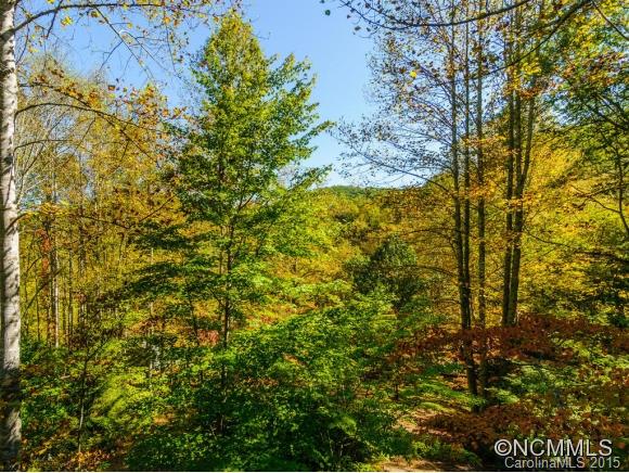 53 Hidden Cove Road Leicester NC 28748