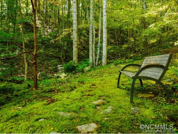 53 Hidden Cove Road Leicester NC 28748
