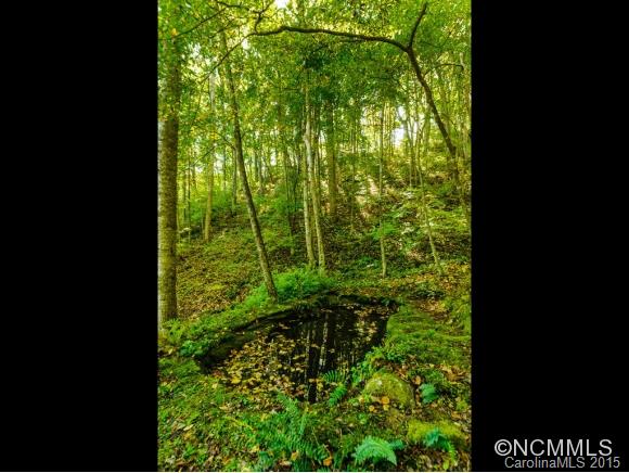 53 Hidden Cove Road Leicester NC 28748