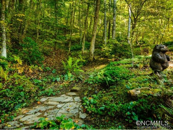 53 Hidden Cove Road Leicester NC 28748