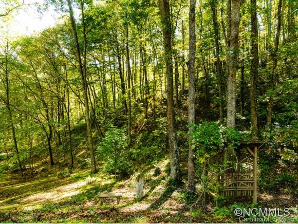 53 Hidden Cove Road Leicester NC 28748