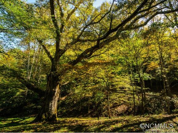 53 Hidden Cove Road Leicester NC 28748