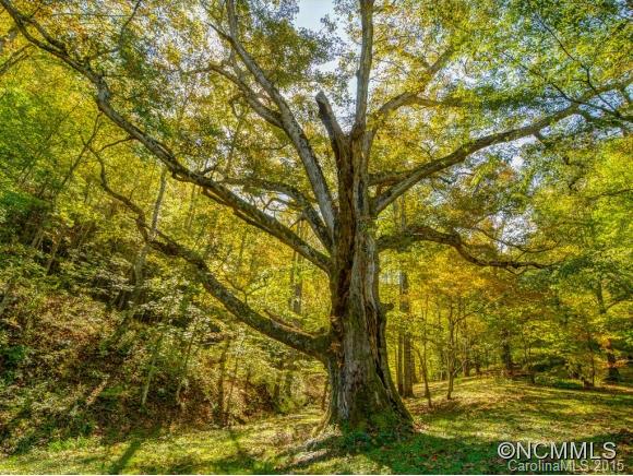 53 Hidden Cove Road Leicester NC 28748