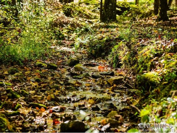 53 Hidden Cove Road Leicester NC 28748