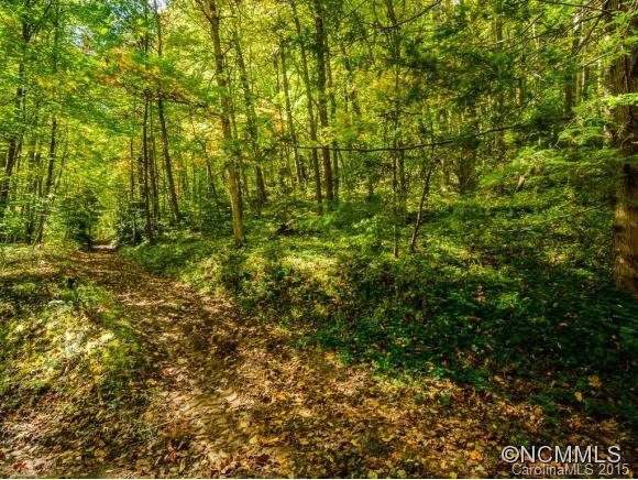 53 Hidden Cove Road Leicester NC 28748