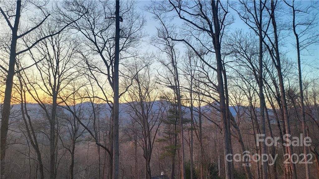 226 Eastmoor Drive Asheville NC 28805