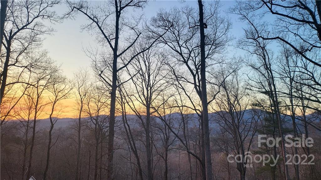 226 Eastmoor Drive Asheville NC 28805