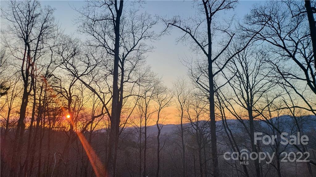 226 Eastmoor Drive Asheville NC 28805