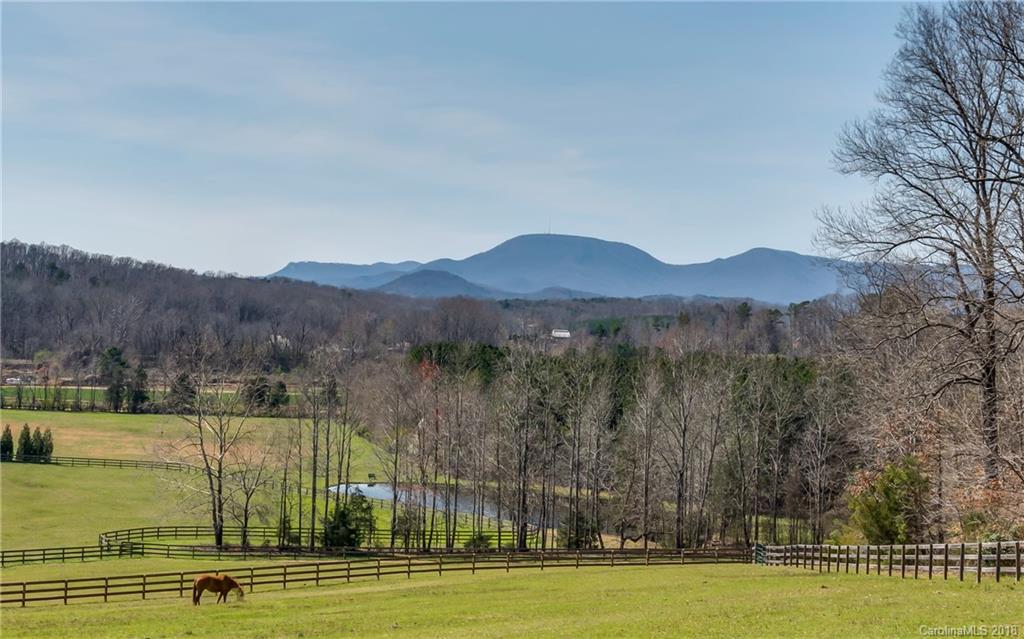133 Wildeman Lane Tryon NC 28782