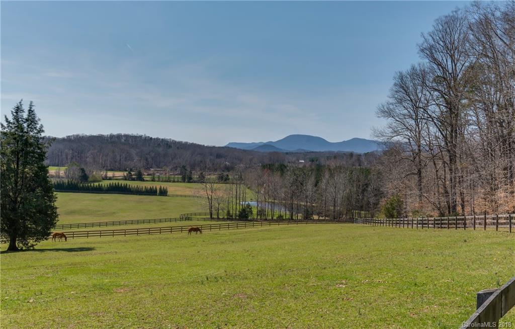 133 Wildeman Lane Tryon NC 28782