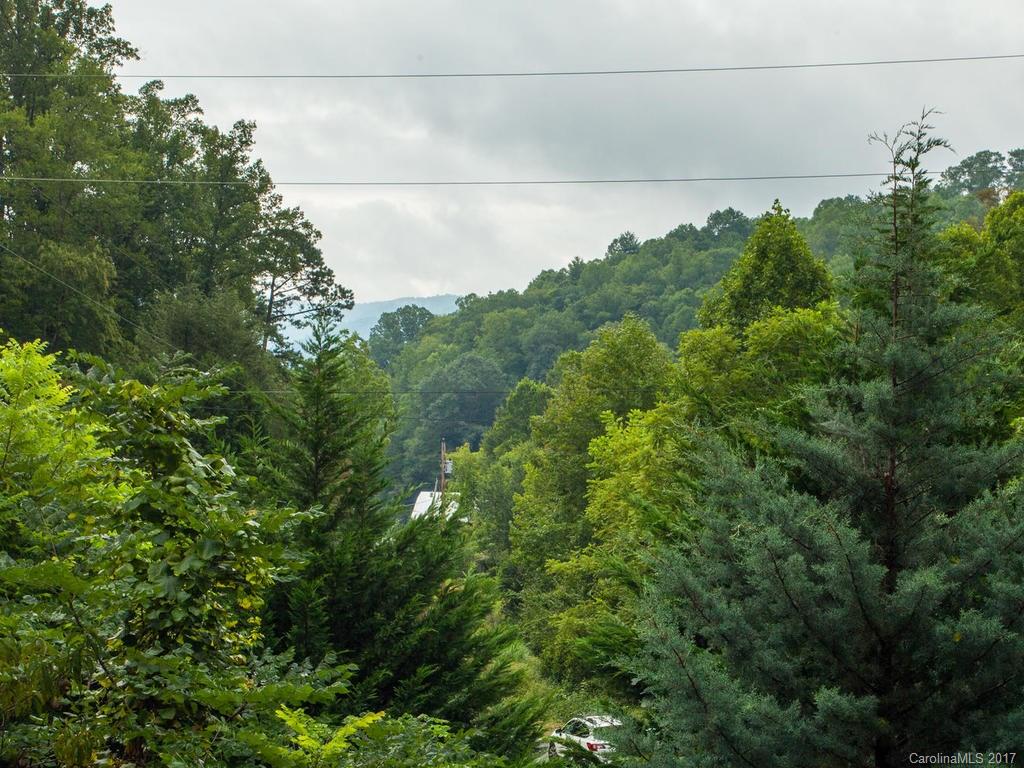 1048 Thomas Branch Road Marshall NC 28753