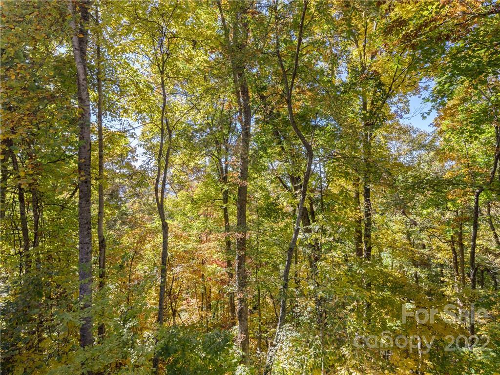 7 Snowbird Drive Asheville NC 28804