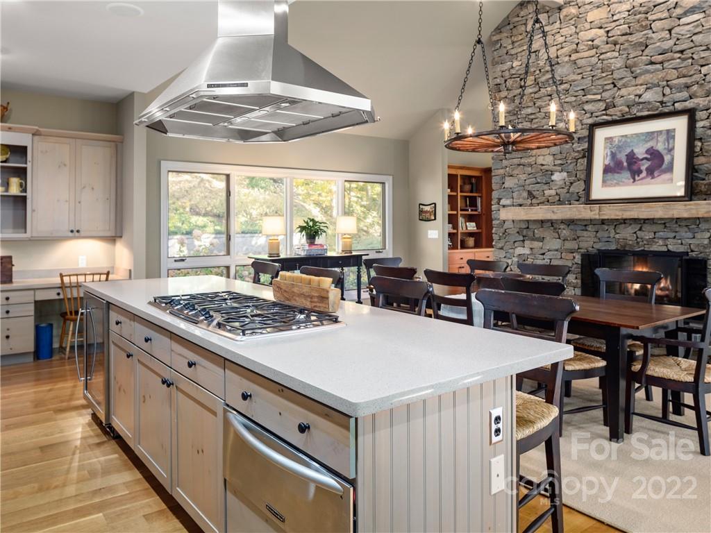 7 Snowbird Drive Asheville NC 28804