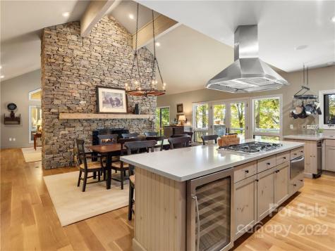 7 Snowbird Drive Asheville NC 28804