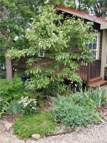 70 Cherry Grove Road Asheville NC 28805