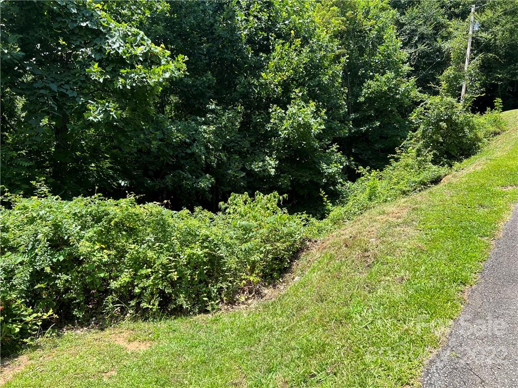 31 Holly Ridge Road Candler NC 28715