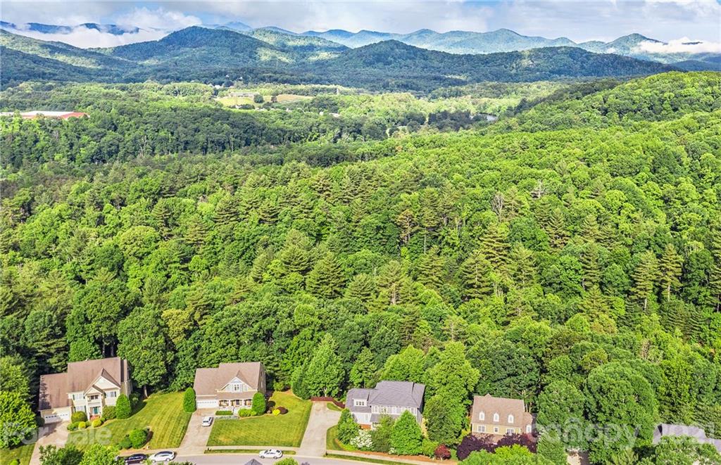 52 White Ash Drive Asheville NC 28803