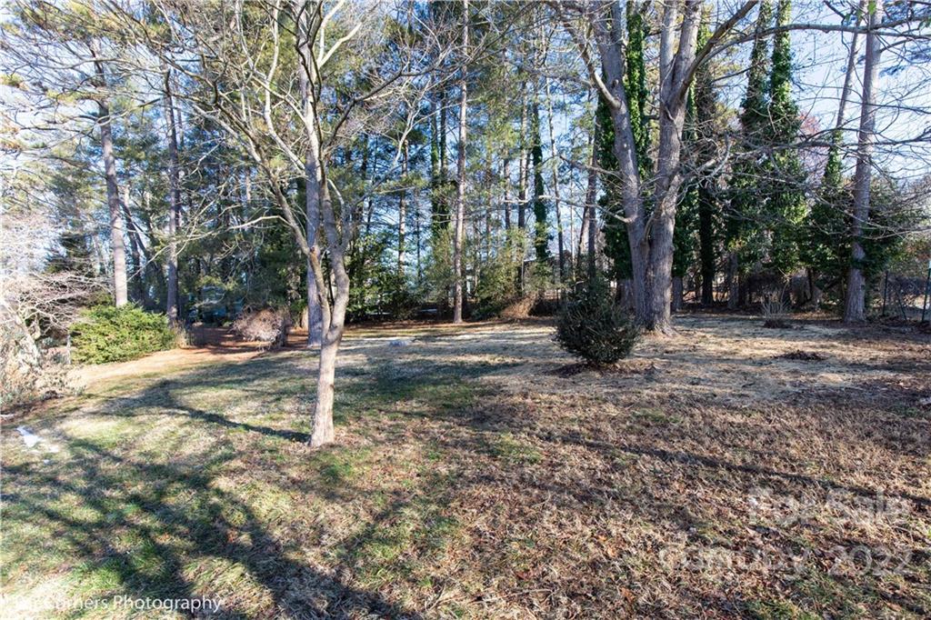 55 Wendover Road Asheville NC 28806