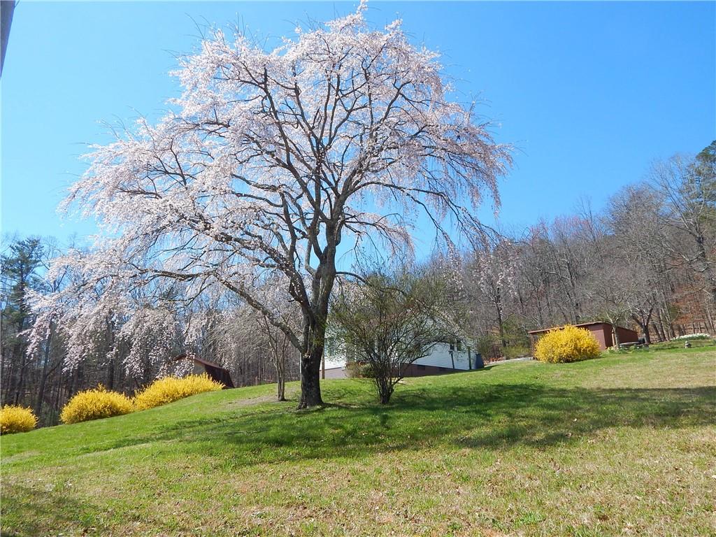 4828 Ponderosa Road Morganton NC 28655