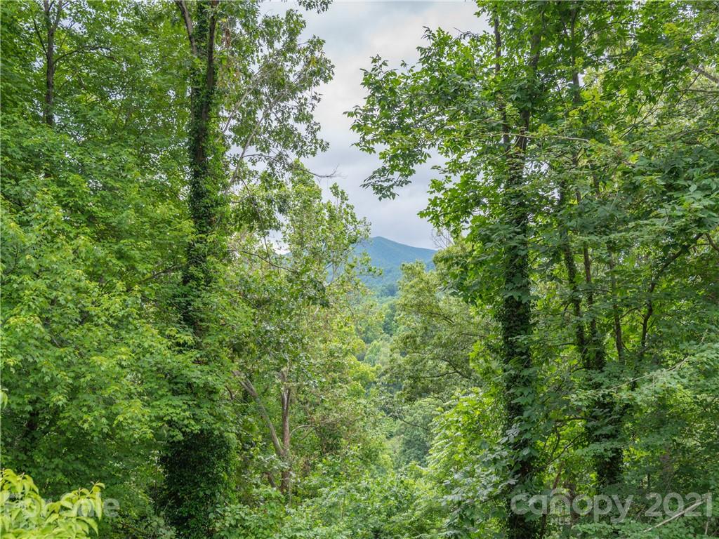 62 Lenoir Circle Waynesville NC 28786