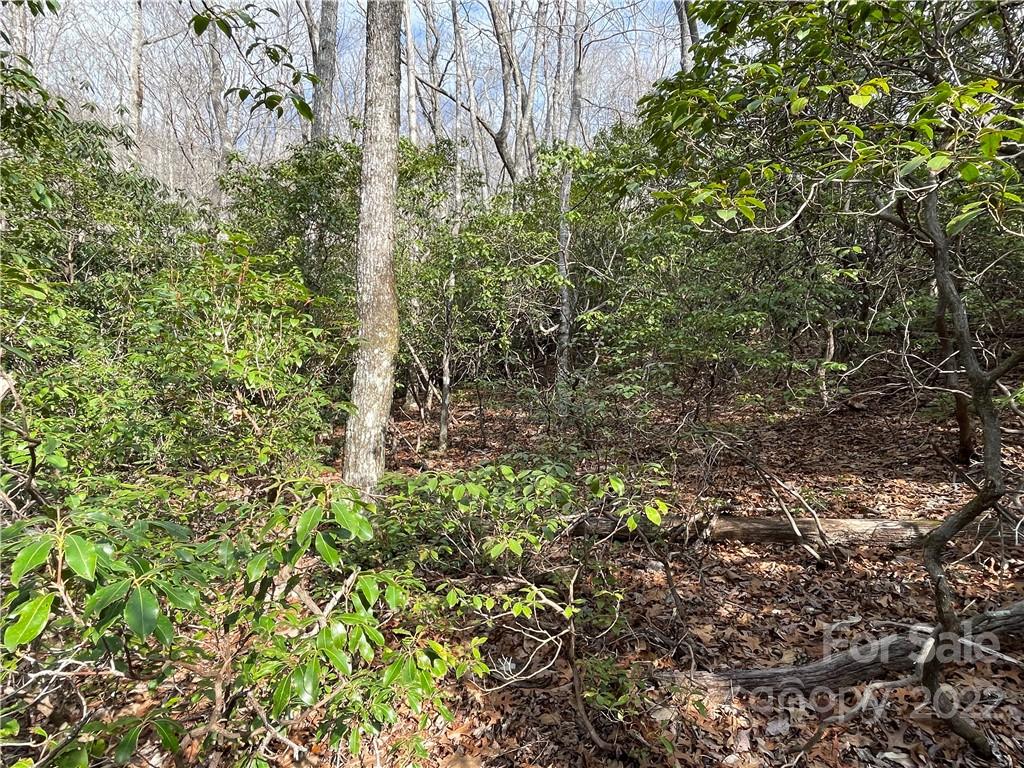 212 Harmony Lane Montreat NC 28757
