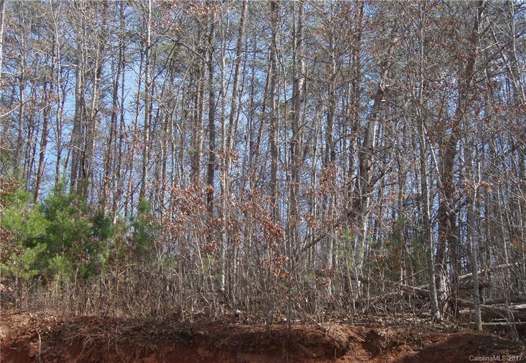405 Big Cove Road Candler NC 28715