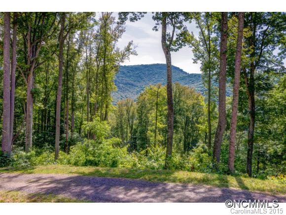 26 Berachah Valley Place Asheville NC 28805