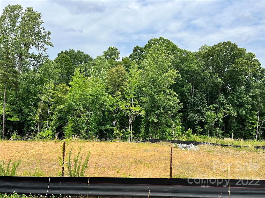 10235 Laurier Lane Huntersville NC 28078