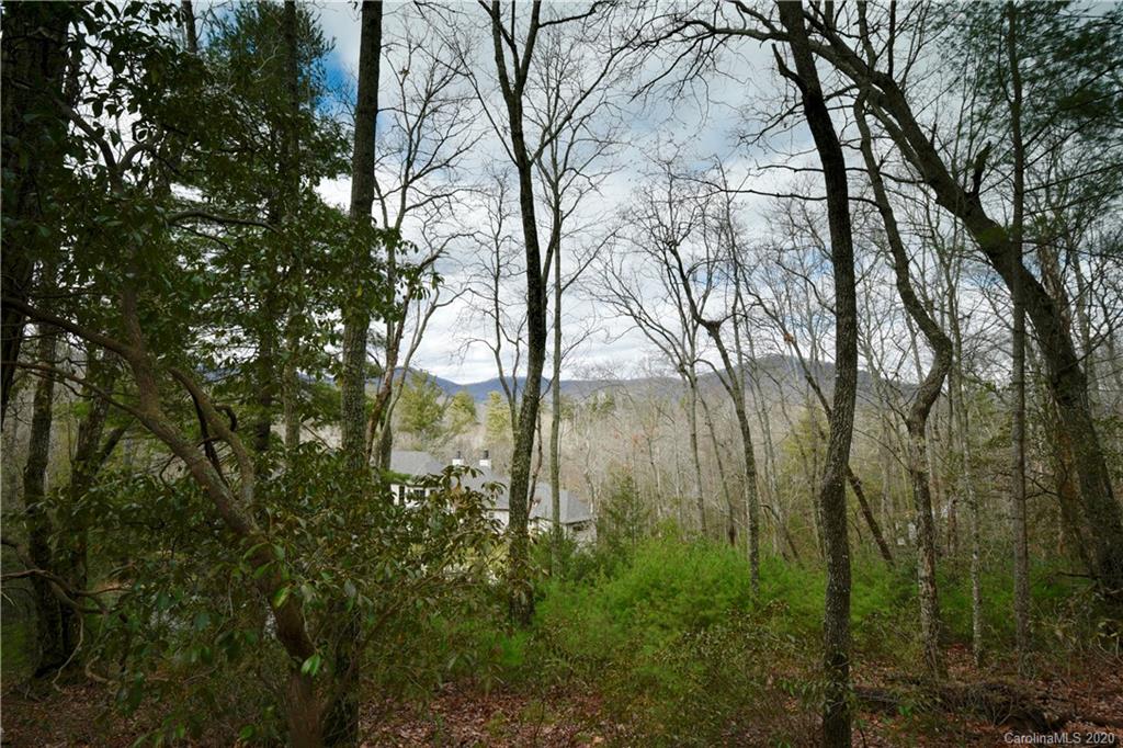 48 Dividing Ridge Trail Arden NC 28704