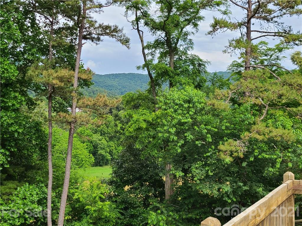 1 Nicole Lane Weaverville NC 28787