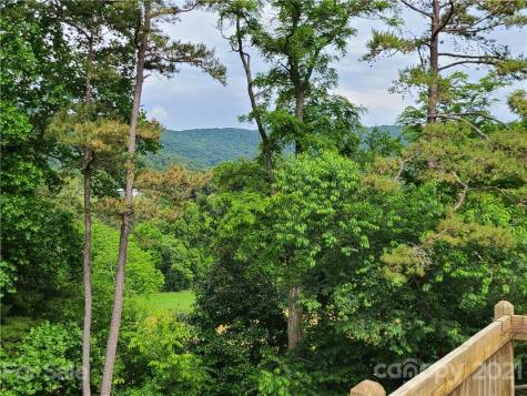 1 Nicole Lane Weaverville NC 28787